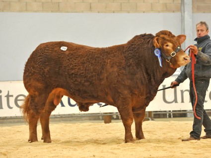 Maraiscote Idol 10,500gns