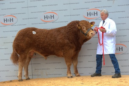 Ampertaine Inferno 16,000gns