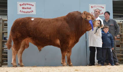 Annadale Indiana 3,900gns 