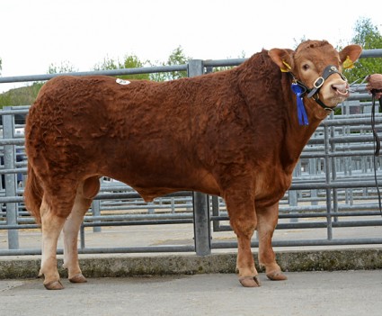 GaryVaughan Idle 7,000gns