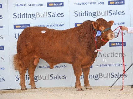 Goldies Indiana 6000gns