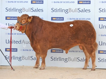 Goldies Ivanhoe 5,500gns