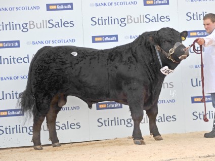 Grahams Black Icon 6,000gns