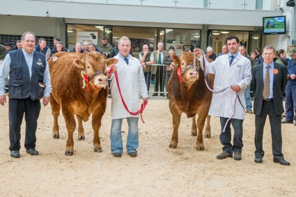 Lenagh IQ Intermediate Champion & Gunnerfleet Impressive Reserve Intermediate