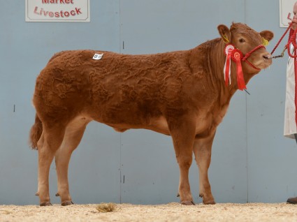 Millgate Julia 3,100gns