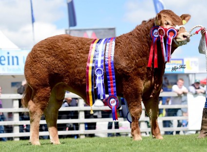 Reserve Supreme Champion Trueman Jagger