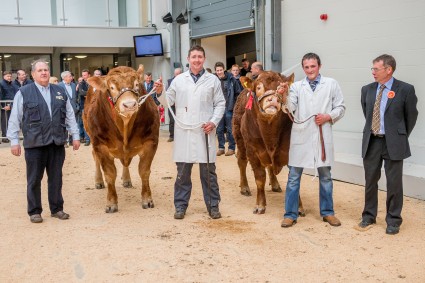 Senior Champion Sportsman Iceberg & Reserve Brontemoor Isaac