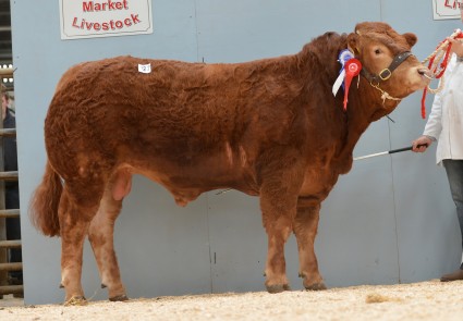 Trueman image 3,400gns 