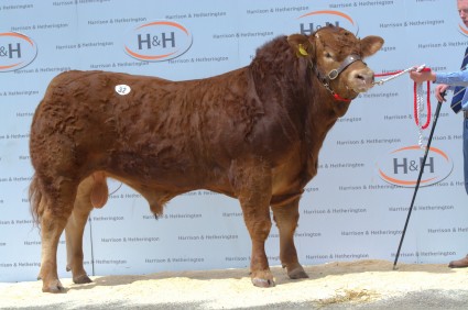 Fairywater Jack 5,500gns