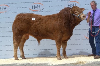 Maraiscote Ignite 5,000gns