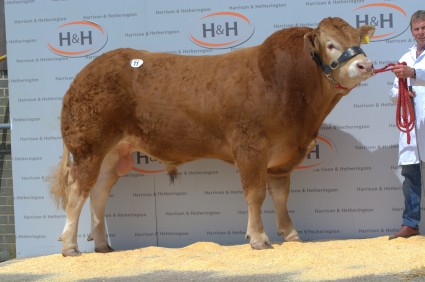 Norman Invincible 8,000gns