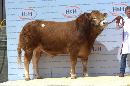 Norman Ispy 5,000gns