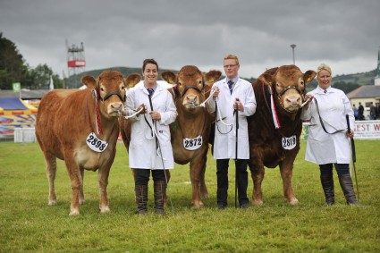 Exhibitor Bred Group of Three