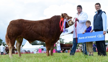 Intermediate Champion Tullyglish Jackpot