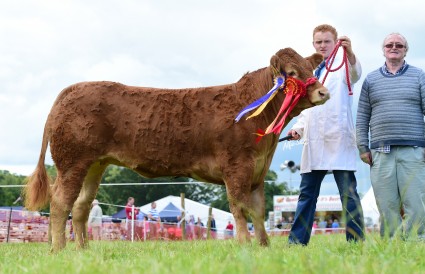 Junior Champion Robineed Jasmine