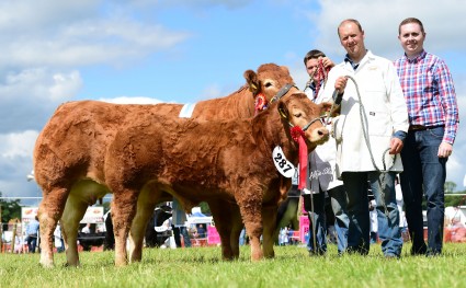 Lowbarn Fotty Supreme Overall Res & Female Champion