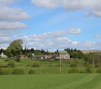 BROCKWOODLEES LIMOUSINS PROVIDING QUALITY CATTLE TO THE HIGH STREET BUTCHERS