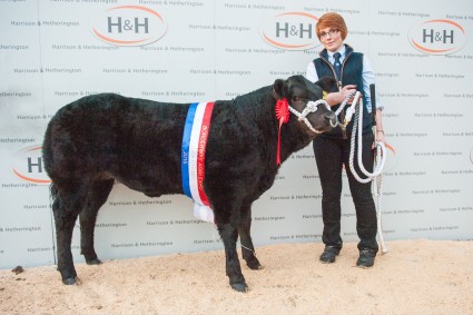 Baby Beef Champion 