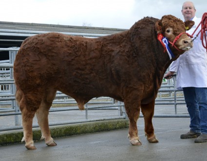 Killerton Jackpot 4900gns