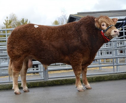 Nealford Jordon 4500gns