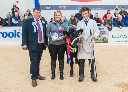 Reserve Champion Baby Beef 