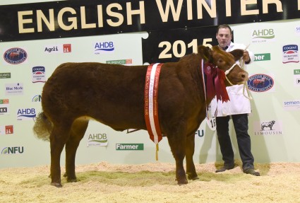 Supreme champion Red Hot Honey from M Harryman and S Warriner.