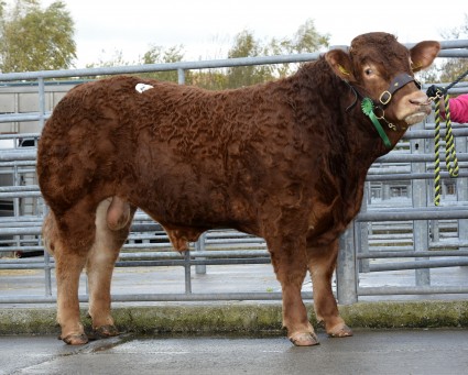 Wellhouse Joshua 4900gns