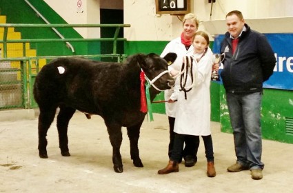 Black Magic Calf Champion