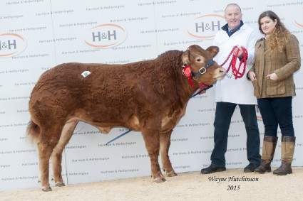 Brenmick Joy - 10,000gns. Maiden heifer champion. Wayne Hutchinson / www.farm-images.co.uk