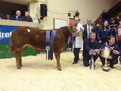 Ruby's Girl Supreme Champion