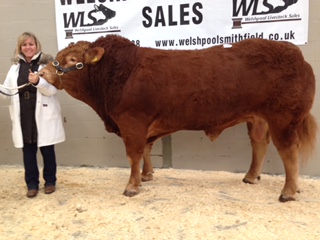 Cowin Jagermeister 4,600gns.