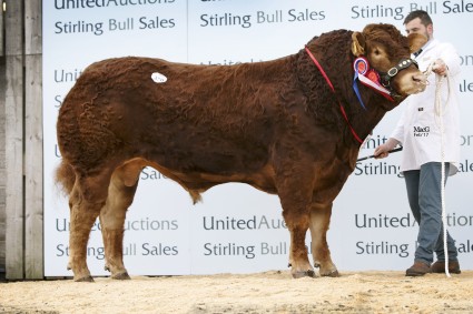 Strawfrank Leroy 8,000gns