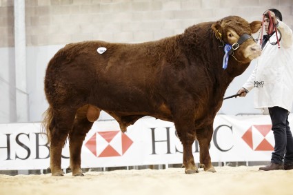 Dyke Laird 6,500gns