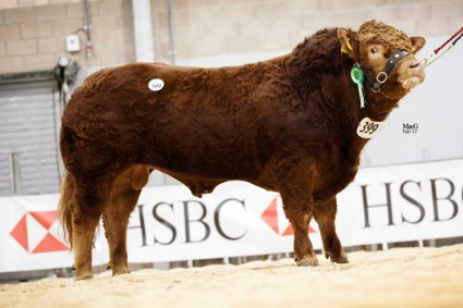 Spittalton Lancer 7,000gns