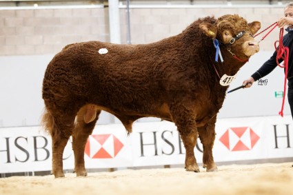 Maraiscote Lionel 6,500gns