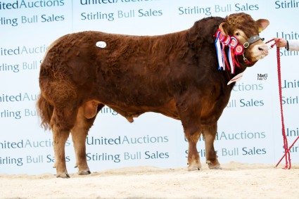 Goldies Lordoftherings 12,000gns