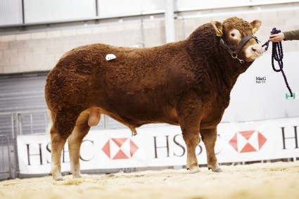 Haltcliffe Limoges 7,200gns