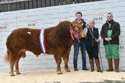 Foxhillfarm Luisvuitton 20,000gns