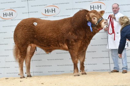 Swalesmoor Liam 30,000gns