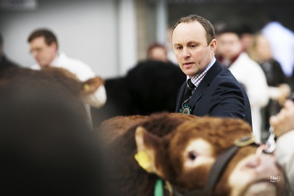 Limousin Judge Jonathan Watson