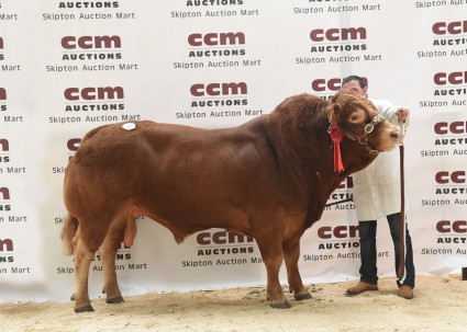 Garrowby Hurricane from J M and S M Priesley selling for 6,000gns.