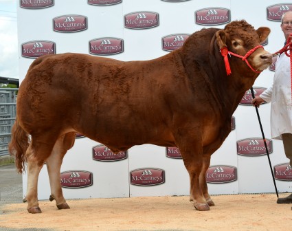 Killerton Larkspur 5,700gns