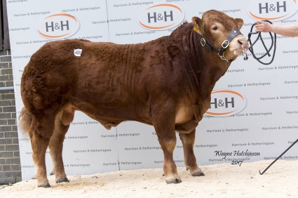 Procters Legacy - 24,000gns
