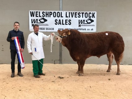 Supreme Champion 8,400gns 