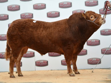 Twemlows Lowry 5,600gns