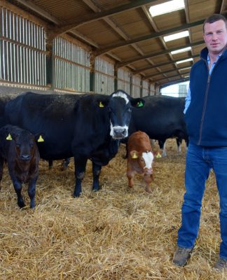 FLEXIBLE, LOW MAINTENANCE