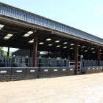 FEED EFFICIENCY PROGRAMME PROGRESSING WELL