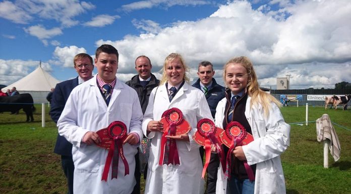 ENGLAND LEAD THE WAY IN THE YOUNG BREEDERS ANGLO IRISH STOCK JUDGING COMPETITION