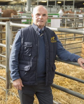 BRITISH LIMOUSIN CHAIRMAN JOHN PHILLIPS REPORTS ON A STRONG YEAR OF PERFORMANCE FOR THE UK’S NO.1 BEEF BREED