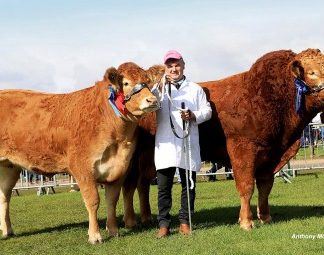 LIMOUSIN PAIR WIN BURKE TROPHY AT ROYAL BERKSHIRE SHOW